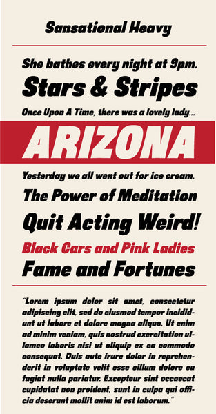 Sansational Heavy Italic Type Specimen