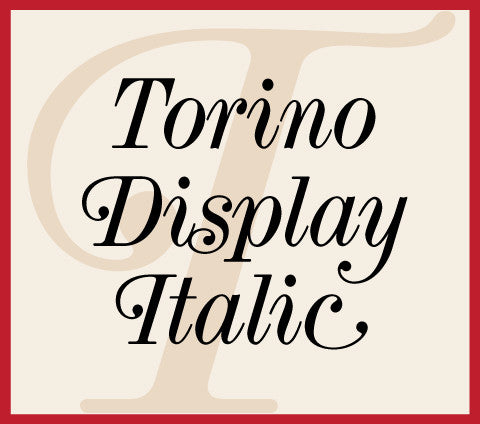 Torino Display Italic Banner